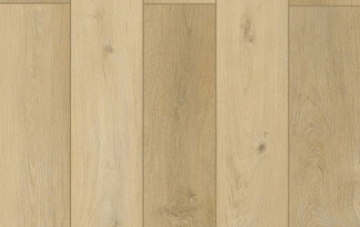 Picture of Lions Floor - Lone Star Spirit Sunnyside Up