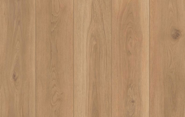 Picture of Lions Floor - Lone Star Spirit XL Backyard Garnish