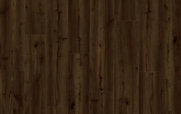 Picture of Lions Floor - Trenta Hibiki