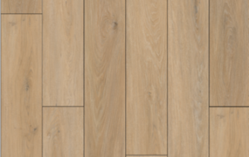 Picture of Lions Floor - Natural Essence Plus Evergreen