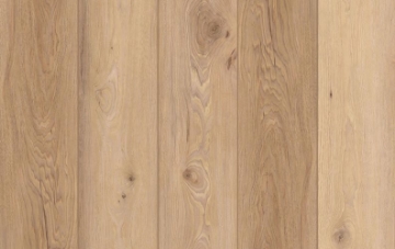 Picture of Lions Floor - Indoor Delight Homewood Waltz