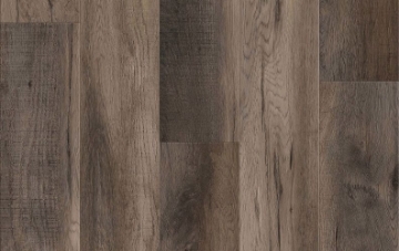 Picture of Lions Floor - District Pro Roseville