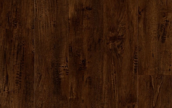 Picture of Lions Floor - District Pro Capitol Hill