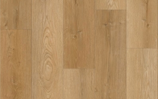 Picture of Lions Floor - District Pro Murrieta