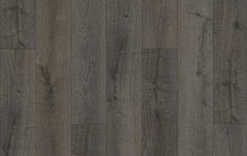 Picture of Lions Floor - District Max Westport