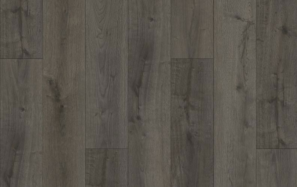 Picture of Lions Floor - District Max Westport