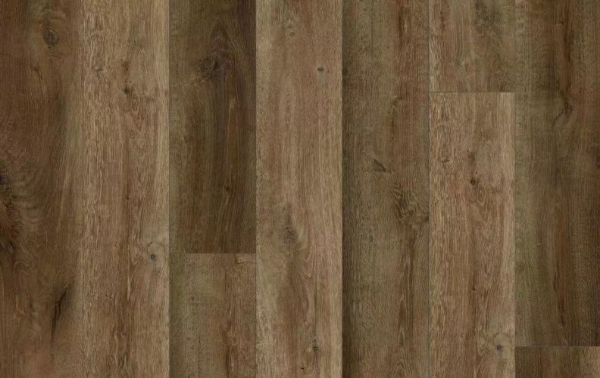 Picture of Lions Floor - District Max Brookline