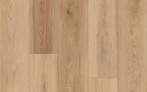 Picture of Lions Floor - District Max Overland Park