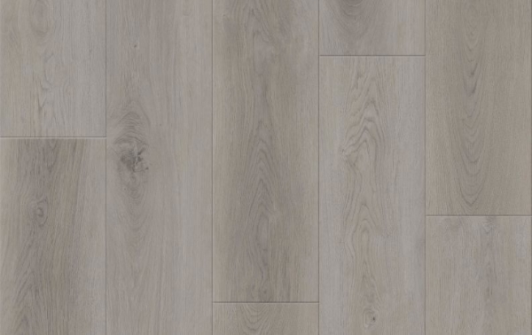 Picture of Lions Floor - District Max Hillsborough