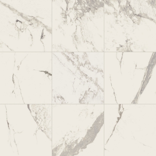 Picture of Daltile - Marble Attache 32 x 32 Matte Calacatta