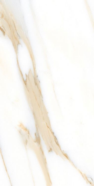 Picture of Elysium - AGL 12 x 24 Polished Calacatta Gold
