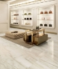 Picture of Elysium - Akoya 24 x 48 Polished Ivory