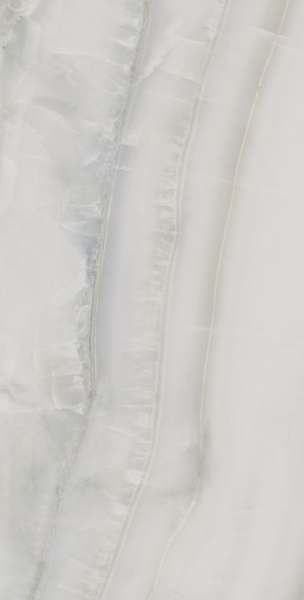 Picture of Elysium - Akoya 24 x 48 Polished Silver