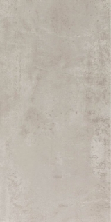 Picture of Elysium - NG Alaska 12 x 24 Grey