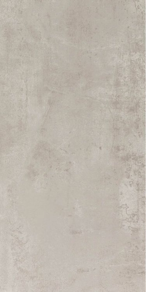 Picture of Elysium - NG Alaska 12 x 24 Grey