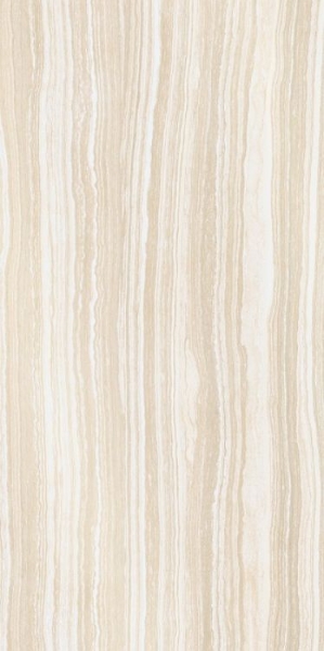 Picture of Elysium - Albani 12 x 24 Ivory