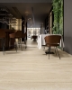 Picture of Elysium - Appia 12 x 24 Matte Vein Cut Beige