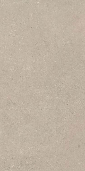 Picture of Elysium - Authentic Luxe 24 x 48 Stone Chablis