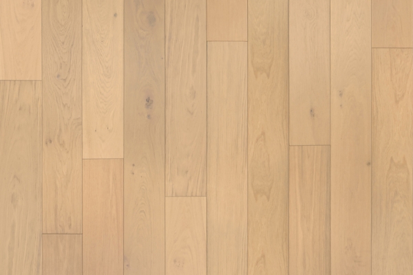 Picture of Garrison Collection - Newport Shell Beach