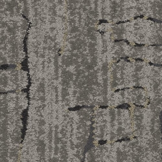 Picture of Shaw Contract - Process Tile Riad