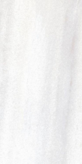 Picture of Elysium - Bruce 12 x 24 Bruce Matte