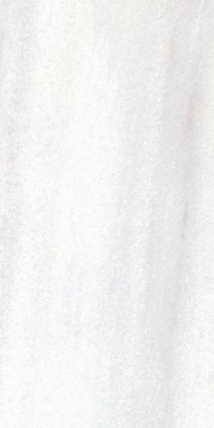 Picture of Elysium - Bruce 12 x 24 Bruce Matte