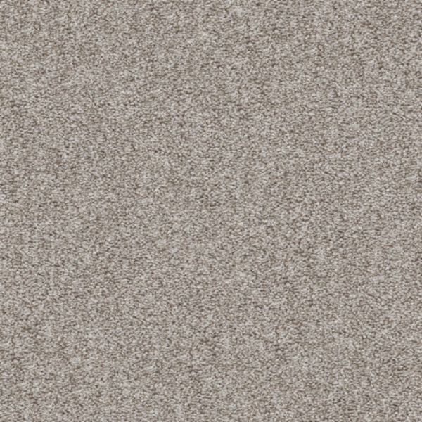 Picture of Shaw Contract - Prepare Versatile