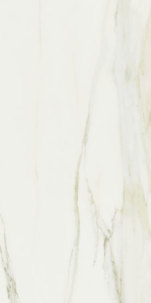 Picture of Elysium - Classici 24 x 48 Calacatta Gold