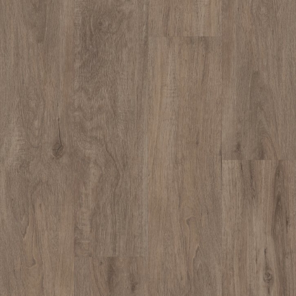 Picture of Shaw Builder - Artisanship Dovetail