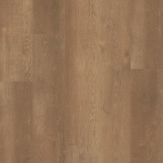 Picture of Shaw Builder - Conway Amber Oak