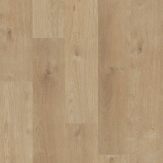 Picture of Shaw Builder - Conway Desert Sand