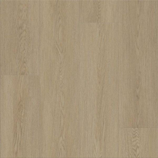 Picture of Shaw Builder - House Light Roast