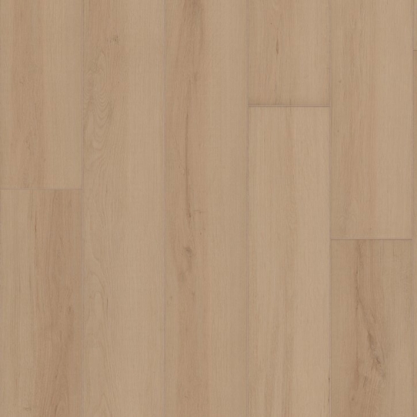 Picture of Shaw Builder - Radiant Living Champagne