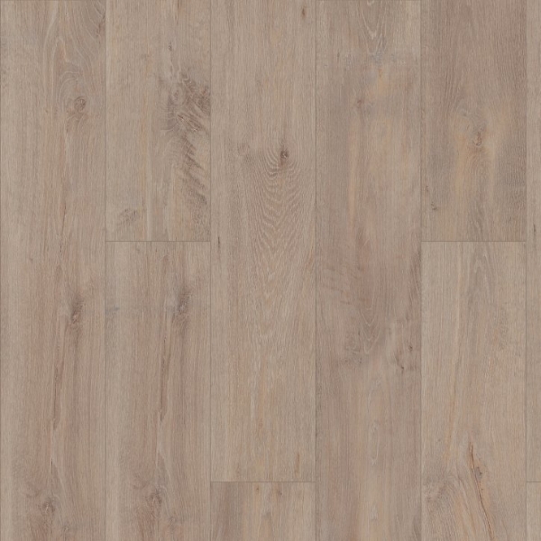 Picture of Shaw Builder - Pride Plus Accent Ryman