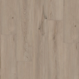 Picture of Shaw Builder - Radiant Living Warm Sand