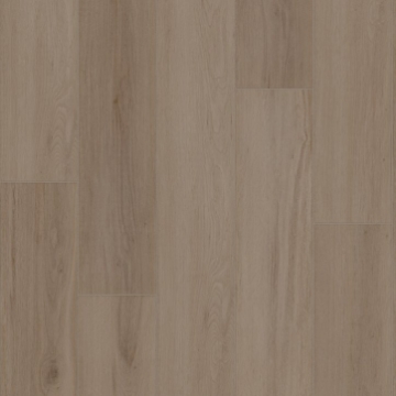 Picture of Shaw Builder - Radiant Living Mushroom