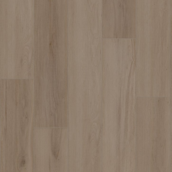 Picture of Shaw Builder - Radiant Living Mushroom