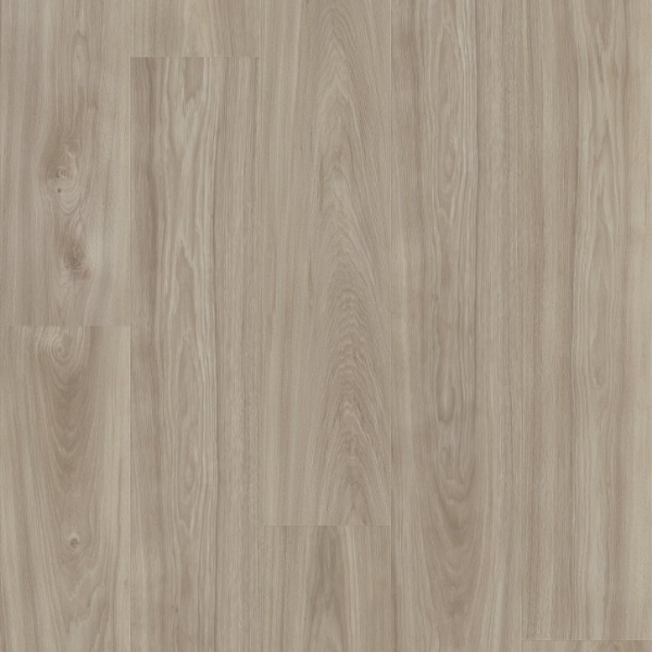 Picture of Shaw Builder - Refined Shaded White