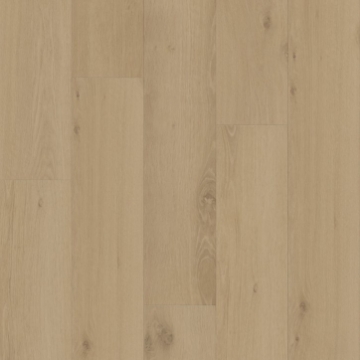 Picture of Shaw Builder - Renegade Arches