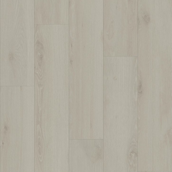 Picture of Shaw Builder - Renegade Glacier