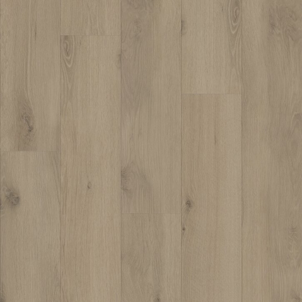 Picture of Shaw Builder - Renegade Everglades