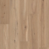 Picture of Shaw Builder - Temporal Blonde Oak