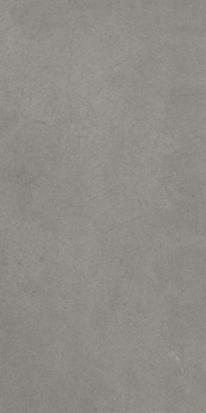 Picture of Elysium - Core 30 x 60 Concrete