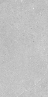 Picture of Elysium - Madison 12 x 24 Argent