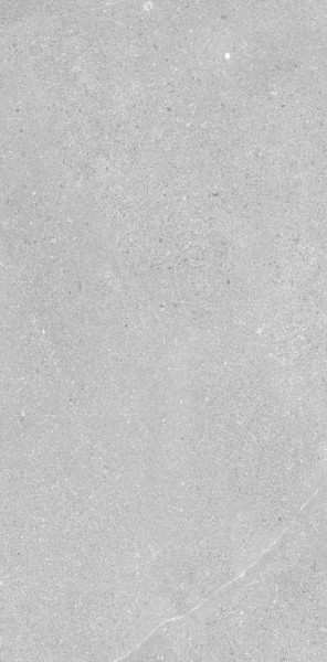 Picture of Elysium - Madison 12 x 24 Argent