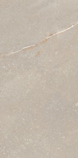 Picture of Elysium - Madison 12 x 24 Bone