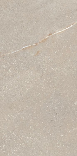 Picture of Elysium - Madison 12 x 24 Bone