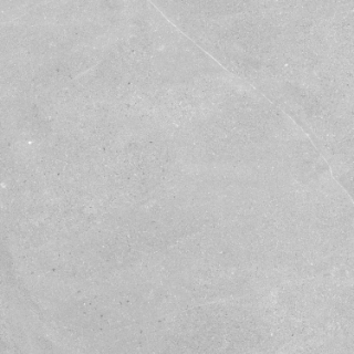 Picture of Elysium - Madison 24 x 24 Argent