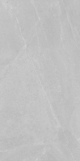 Picture of Elysium - Madison 24 x 48 Argent