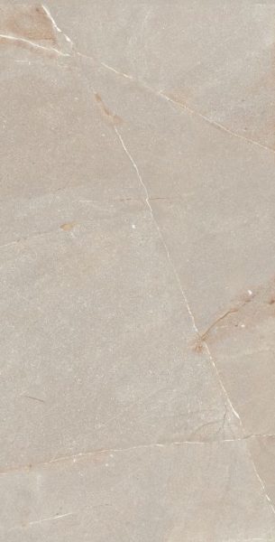 Picture of Elysium - Madison 24 x 48 Bone